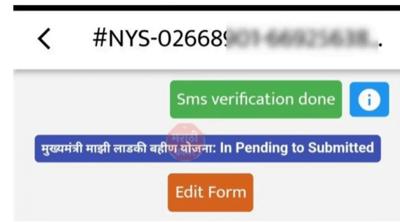 Majhi ladki bahin yojana status check,